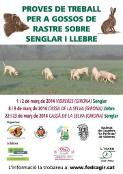 Prova de treball per a gossos de rastre sobre senglar Cassà de la Selva 2014