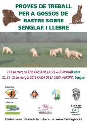 Prova de treball per a gossos de rastre sobre llebre Cassà de la Selva 2015