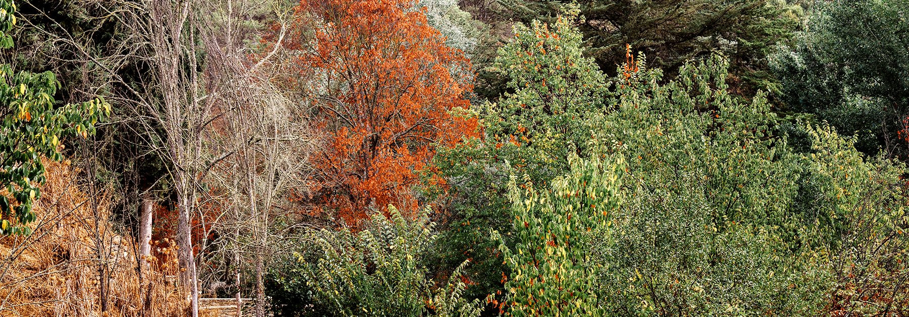 Federació Catalana de Caça Representació Territorial Girona