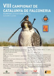 cartell campionat falconeria 2016