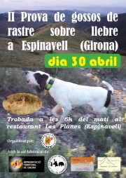 II Prova de gossos de rastre sobre llebre a Espinavell (Girona)