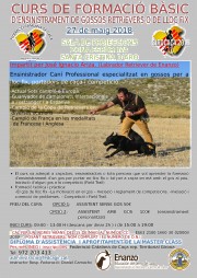 Curs d´ensinistrament de gossos retrievers