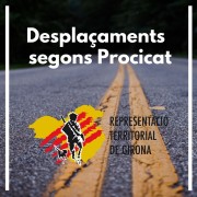 Desplaçament segons Procicat