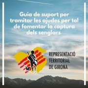 Guia pas a pas