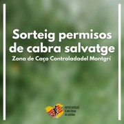 Sorteig Cabra Montgrí