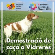 DemostracioCaçaVidreres