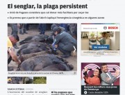 Article El Punt