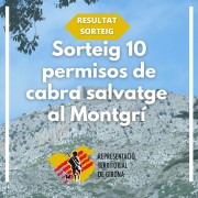 Sorteig Montgrí