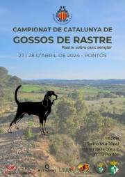 Campionat rastre