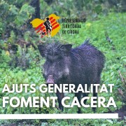 Ajunts foment cacera