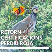 Retorn informacio
