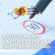 Ajuts senglar