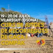 Curs RRCC i CS