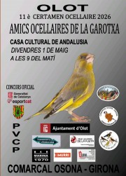 ConcursOcells