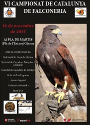 VI Campionat de Catalunya de Falconeria